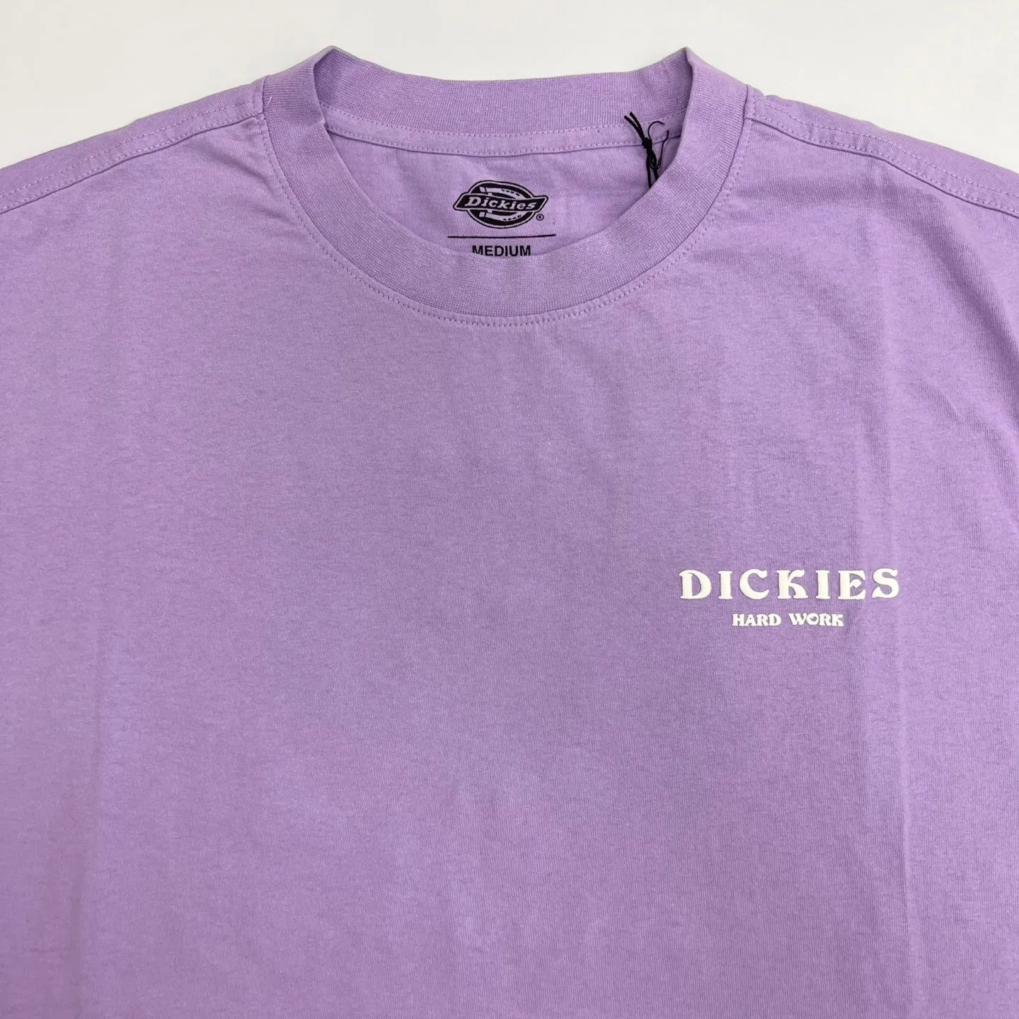 Dickies Oatfield Short Sleeve T-Shirt