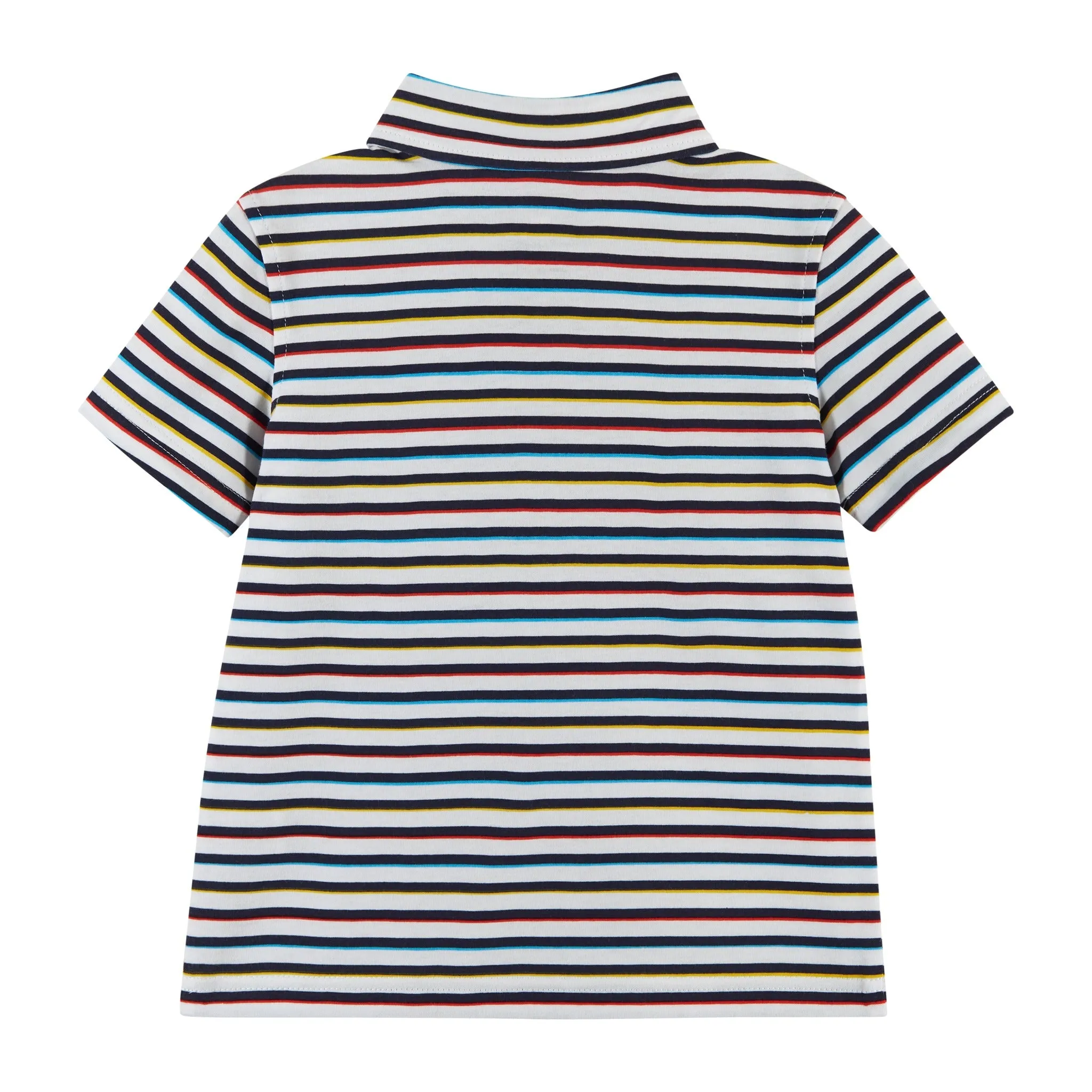 Striped Polo | Multicolor